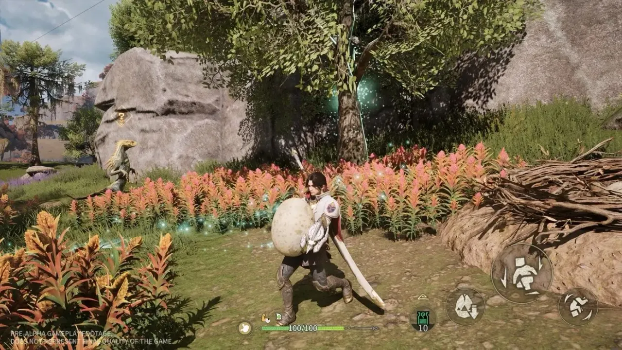 Egg Heist Challenge